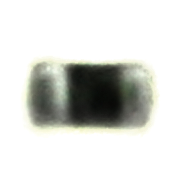 250R05L130GV4T 250R05L130GV4T