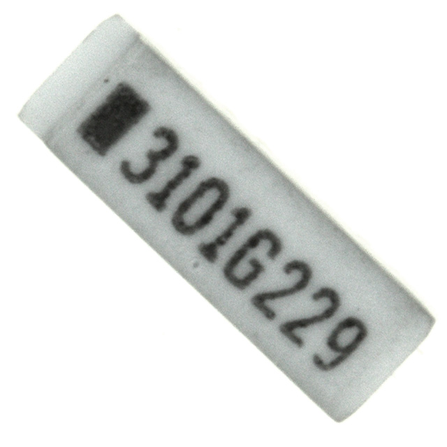 753163101GTR