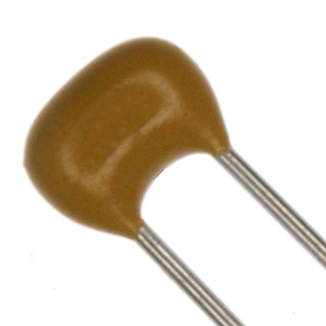 AR205F102K4R