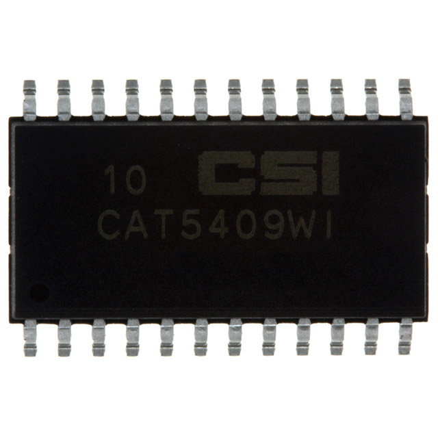 CAT5409WI-10-T1