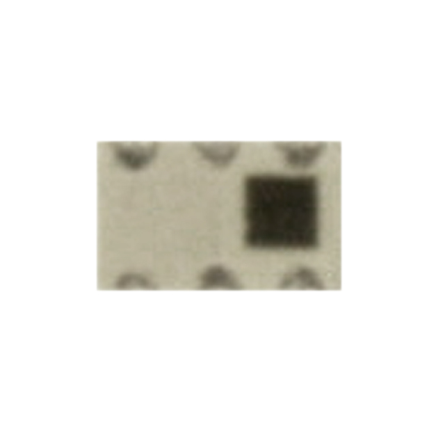 DPX202170DT-4021A1 DPX202170DT-4021A1