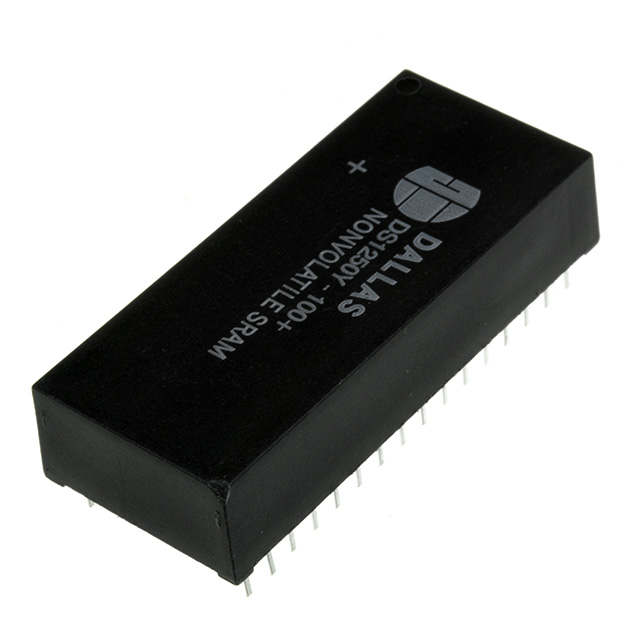 DS1250Y-100+