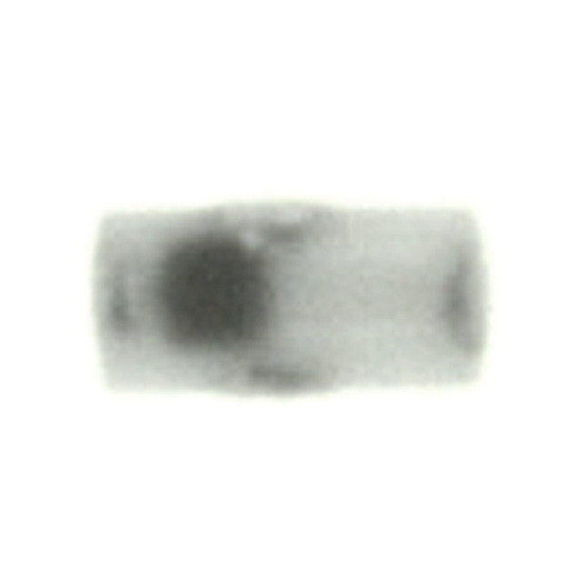 HHM1903A1 HHM1903A1