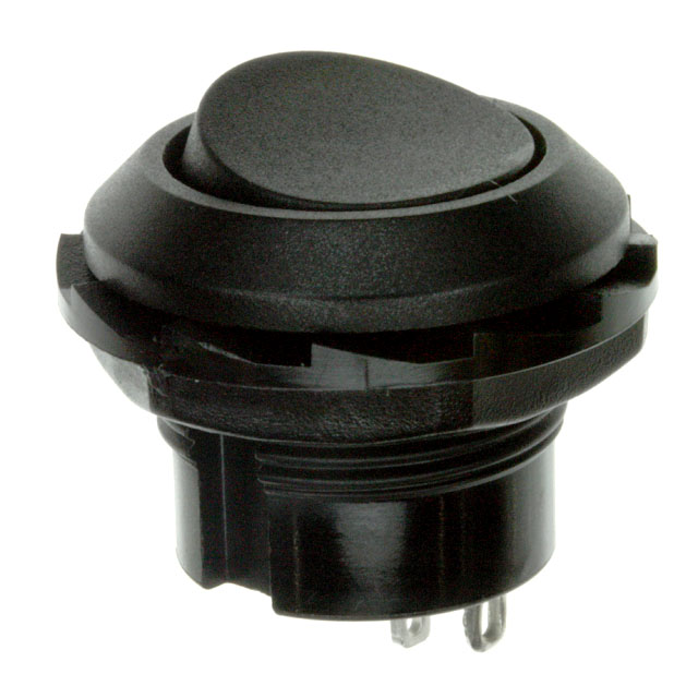RR3130ABLKBLKES RR3130ABLKBLKES