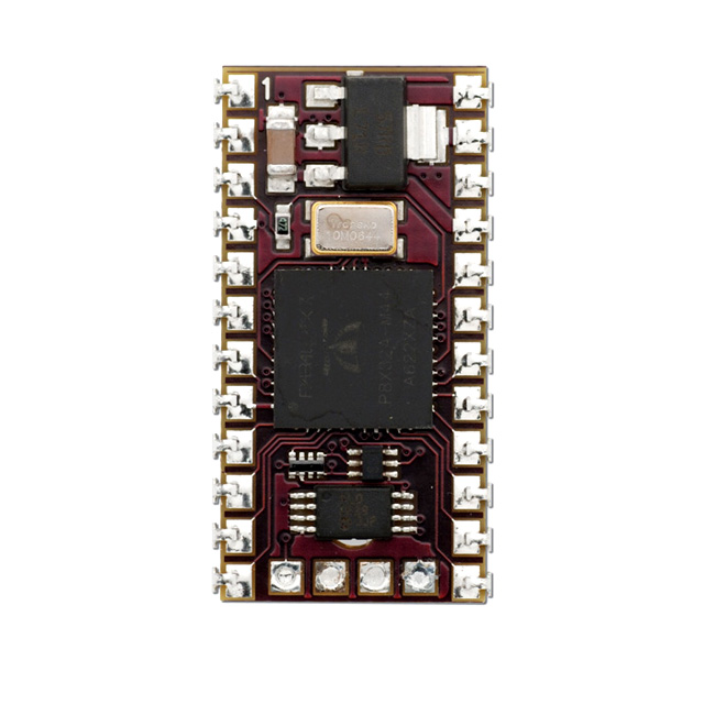 SS1-IC SS1-IC
